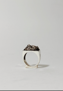 Iztaccihuatl Ring