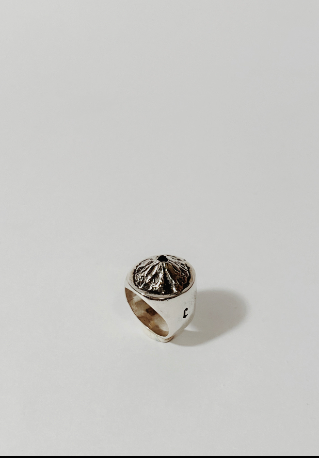 Popocatepetl Ring