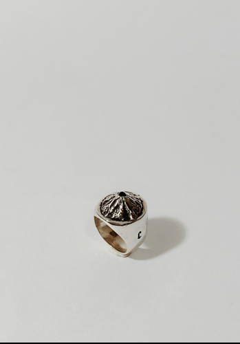 Popocatepetl Ring