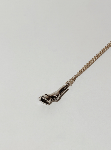 Horse Paw Pendant (With Chain)