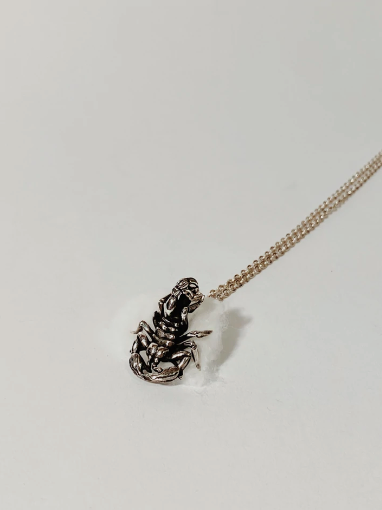 Scorpion Pendant (With Chain)