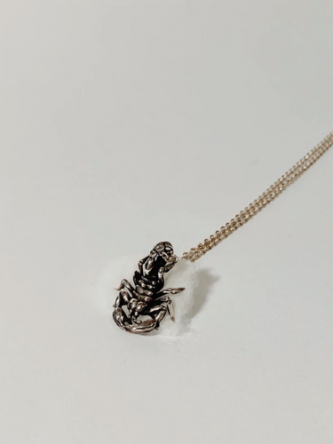 Scorpion Pendant (With Chain)