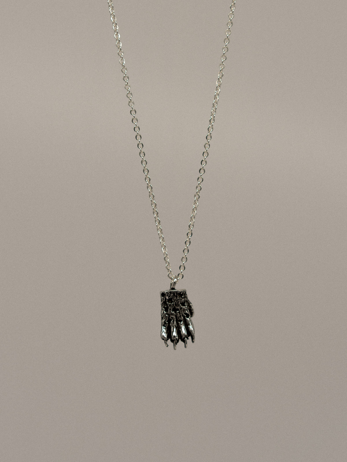 Jaguar Paw Pendant (With Chain)
