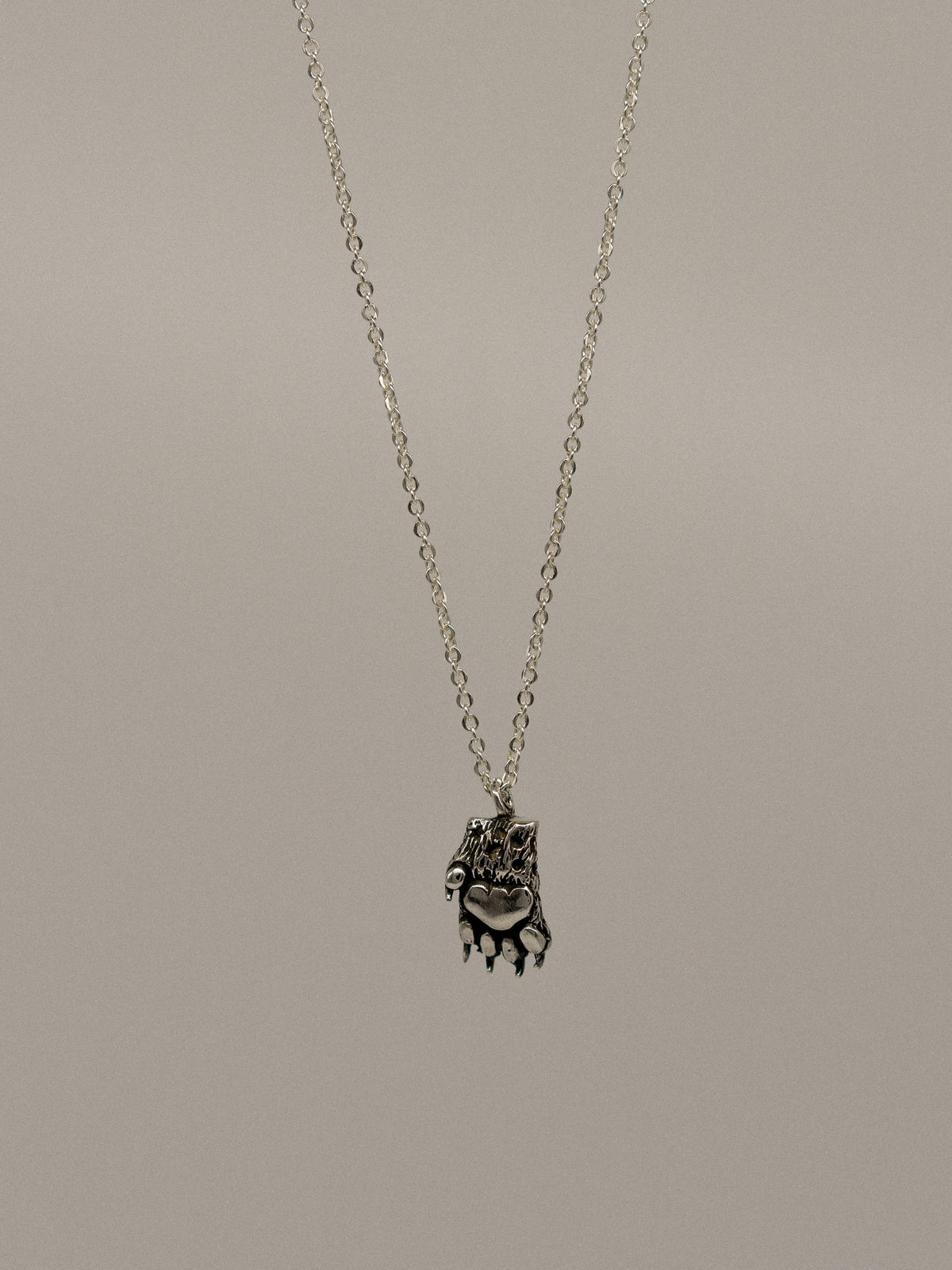 Jaguar Paw Pendant (With Chain)