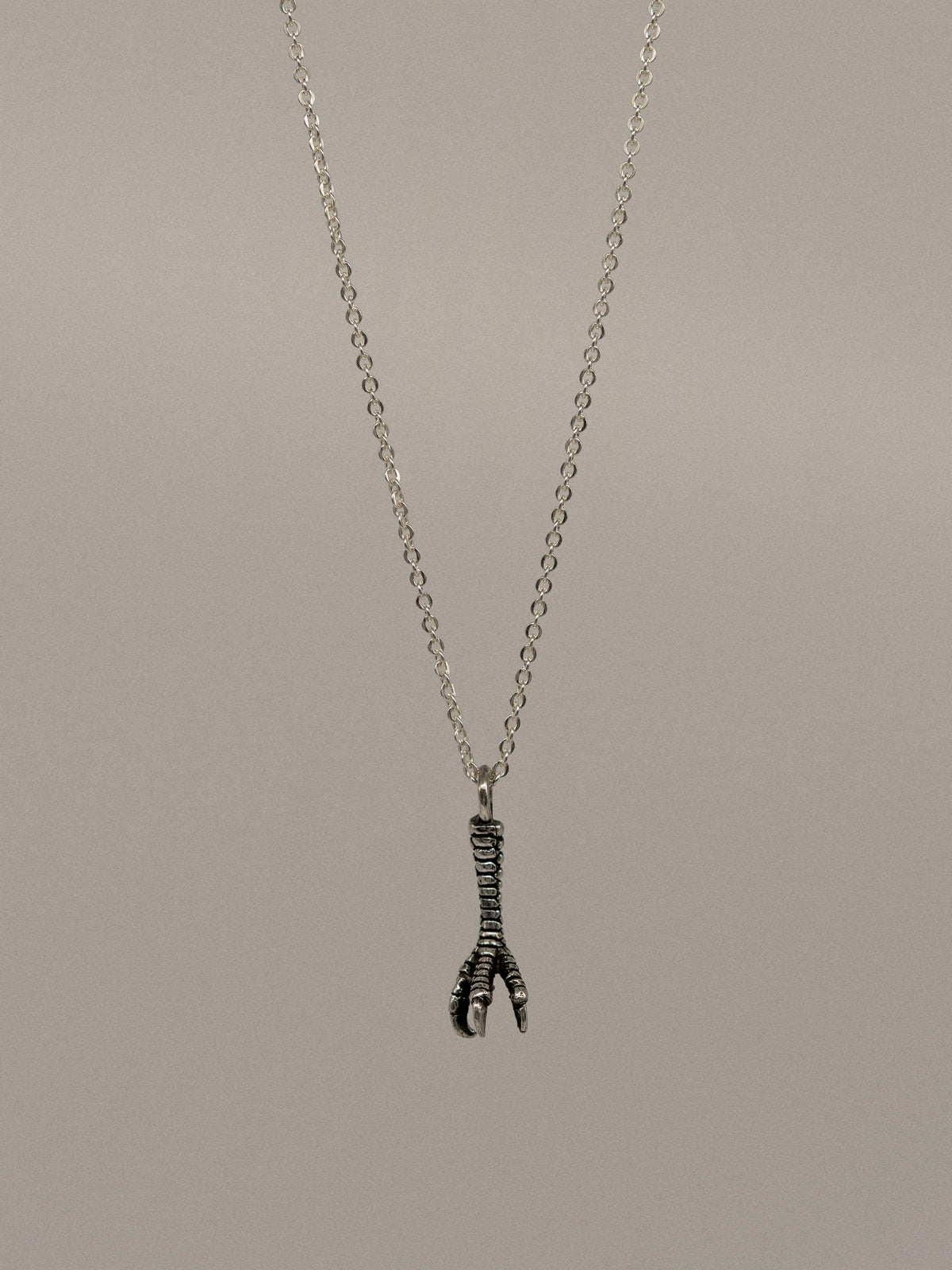 Eagle Paw Pendant (With Chain)