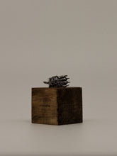 Jaguar Paw Pendant (With Chain)