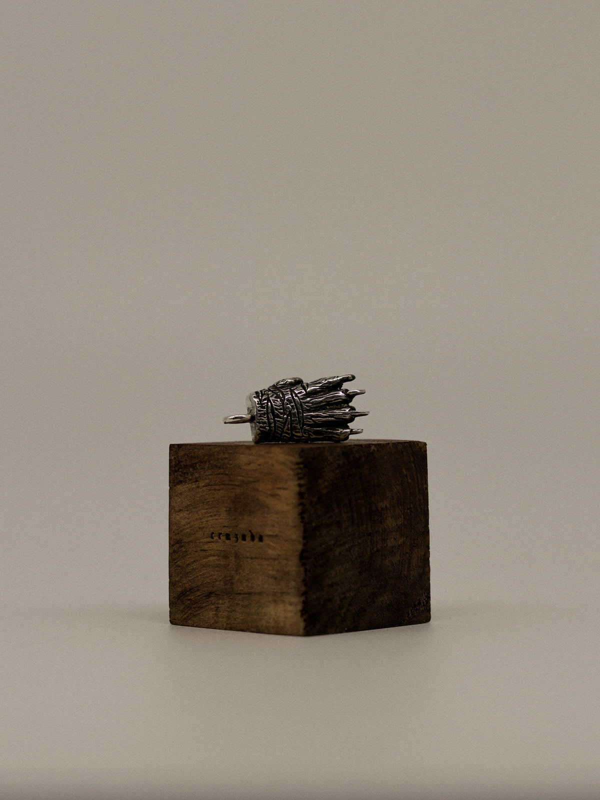 Tiger Paw Pendant (With Chain)