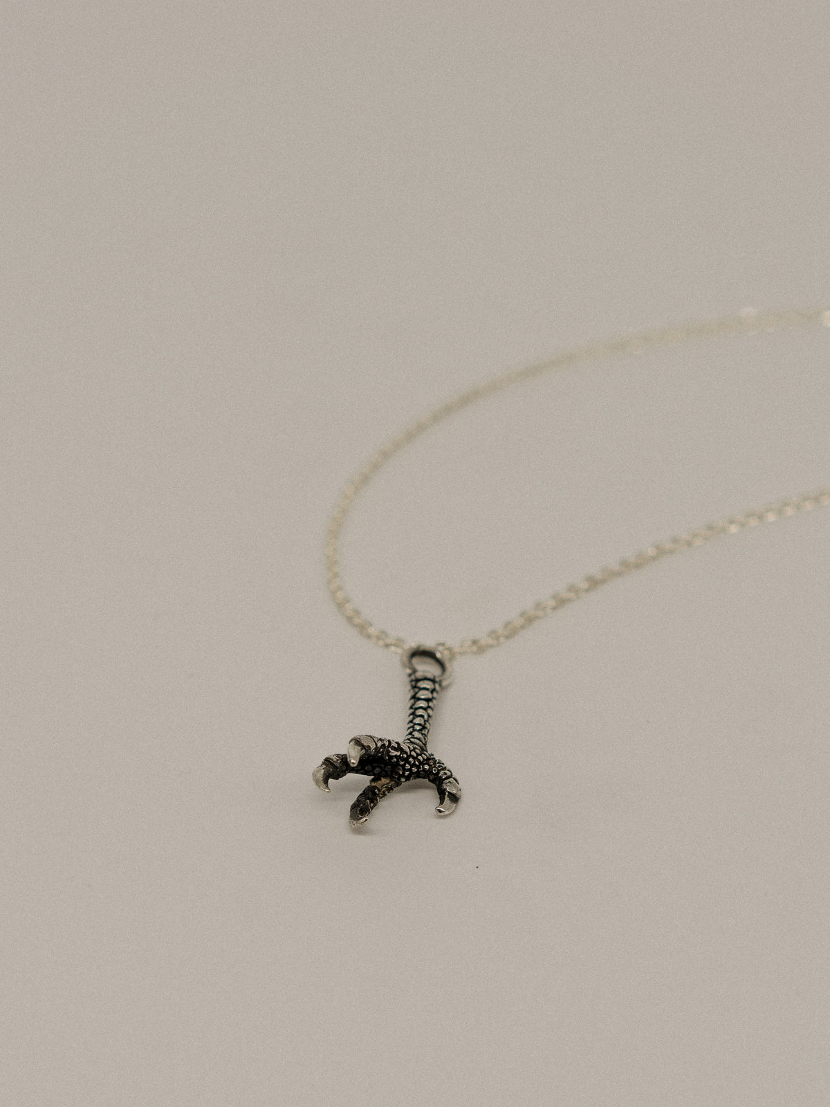 Eagle Paw Pendant (With Chain)