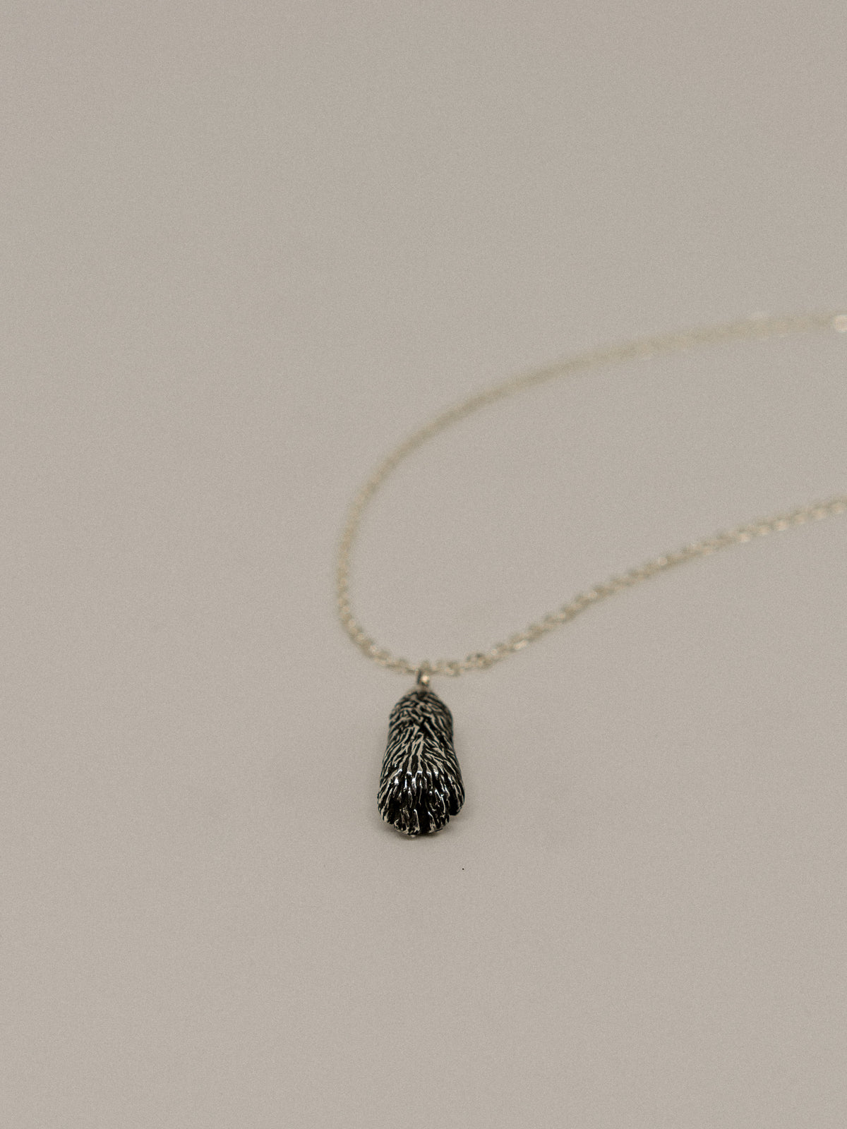 Rabbit Paw Pendant (With Chain)