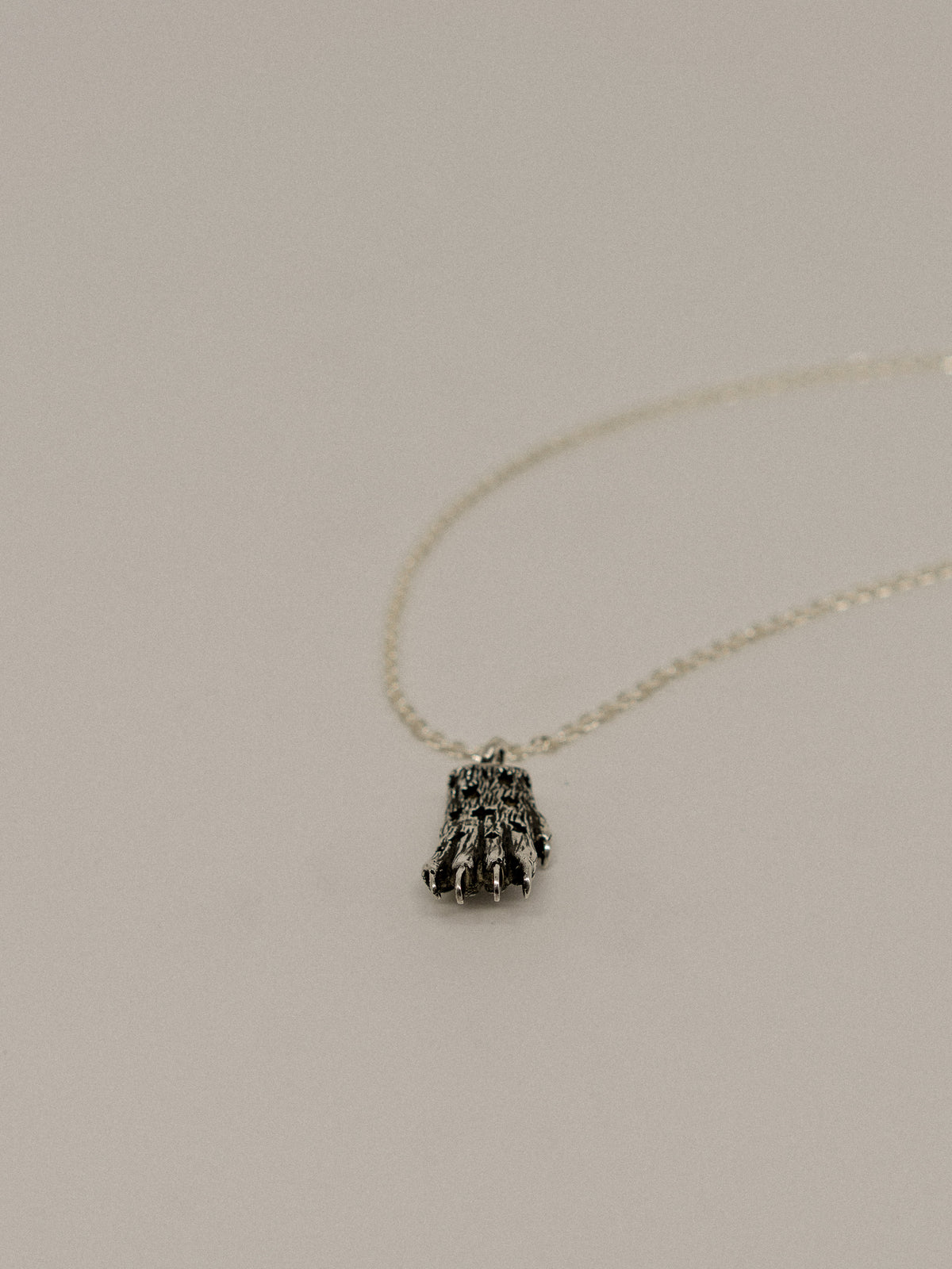 Jaguar Paw Pendant (With Chain)