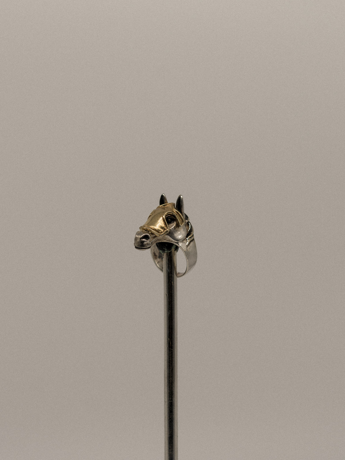 Horse Ring