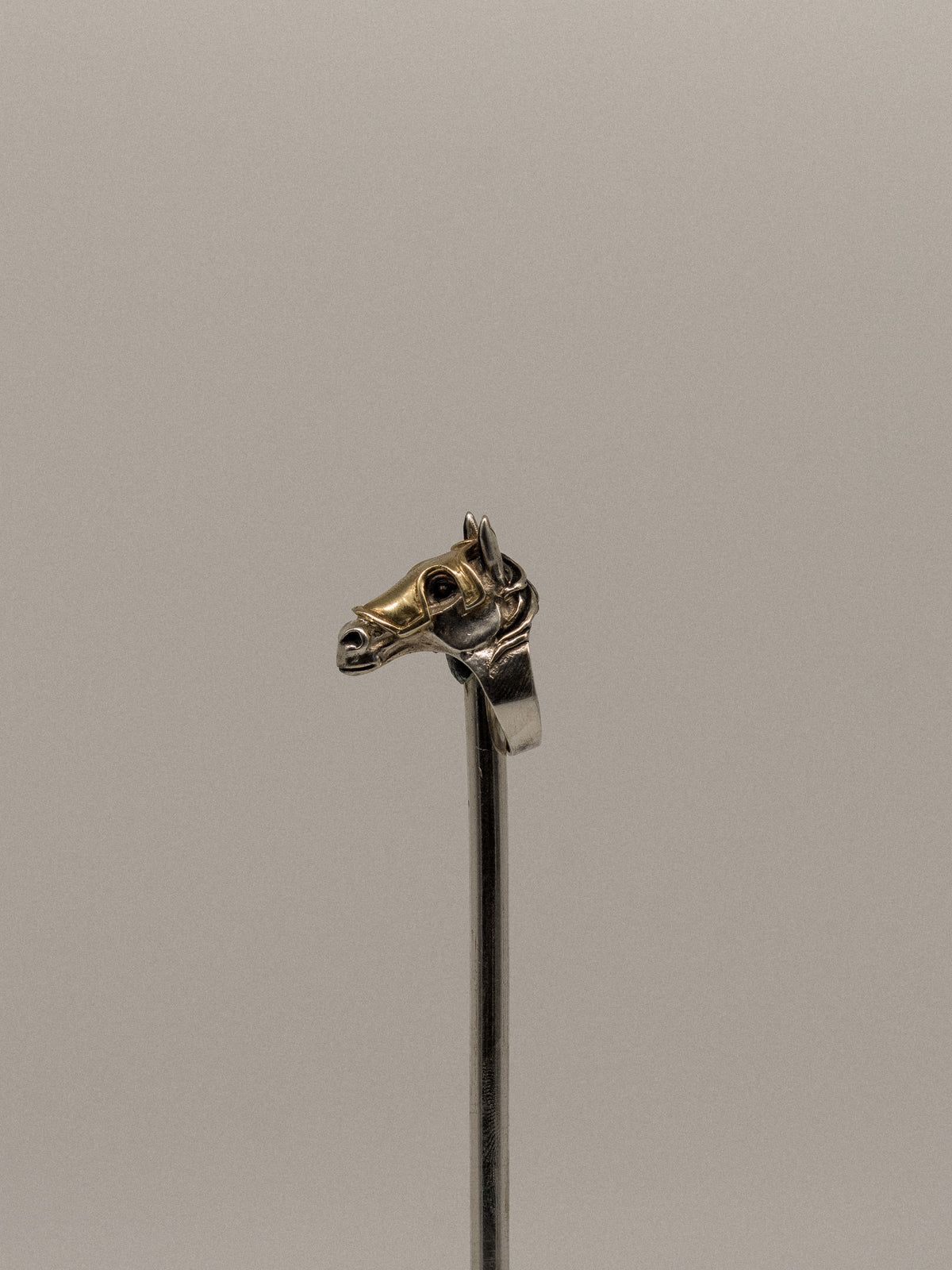 Horse Ring