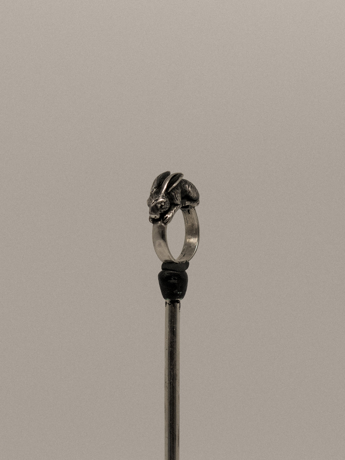 Rabbit Ring