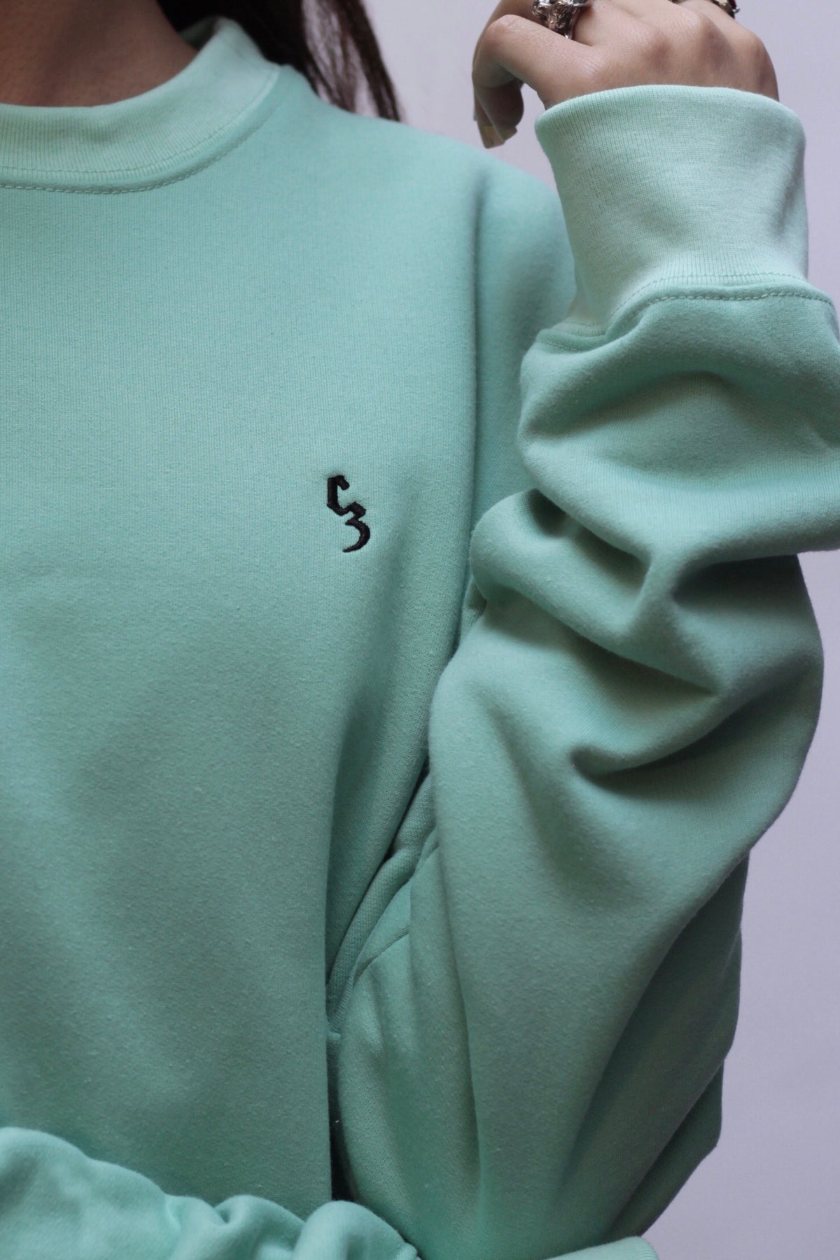 Sweatshirt CZ Mint